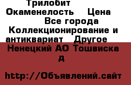 Трилобит Asaphus. Окаменелость. › Цена ­ 300 - Все города Коллекционирование и антиквариат » Другое   . Ненецкий АО,Тошвиска д.